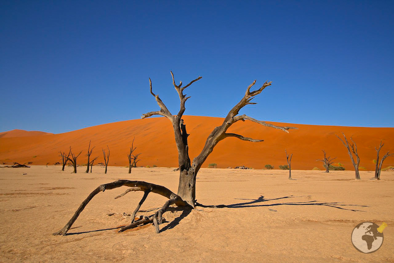 O que fazer na Namíbia : Dead Vlei